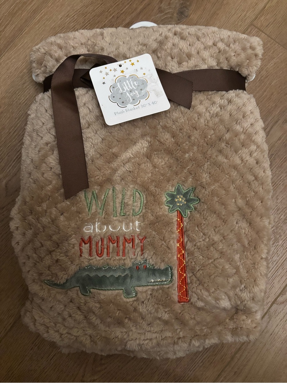 Cozy Baby Blanket NWT